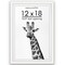 Americanflat Gallery-Style Picture Frame with Mat - Showcase Artwork, Prints, and Photos - Shatter Resistant Glass - Hanging Hardware with Drywall Anchor